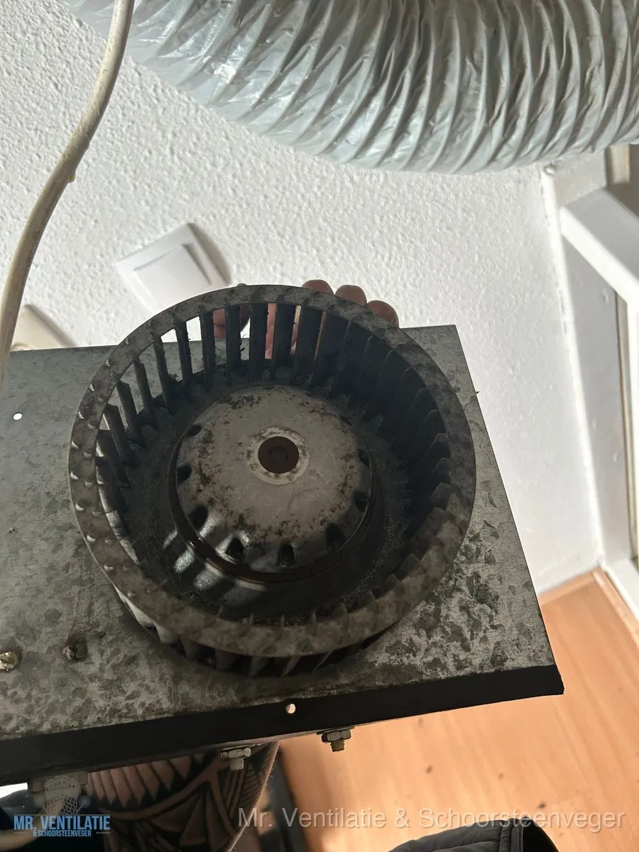 Schone ventilatormotor na professionele reiniging